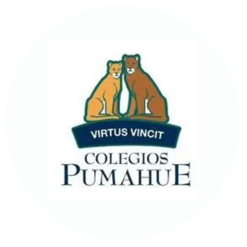 Colegios Pumahue