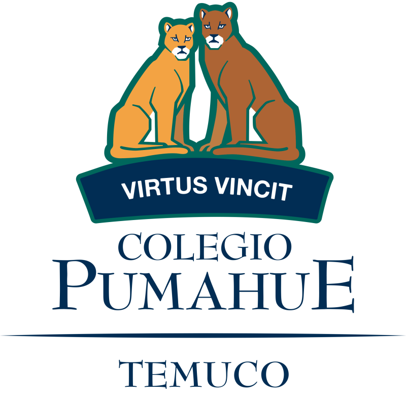 pumahue temuco