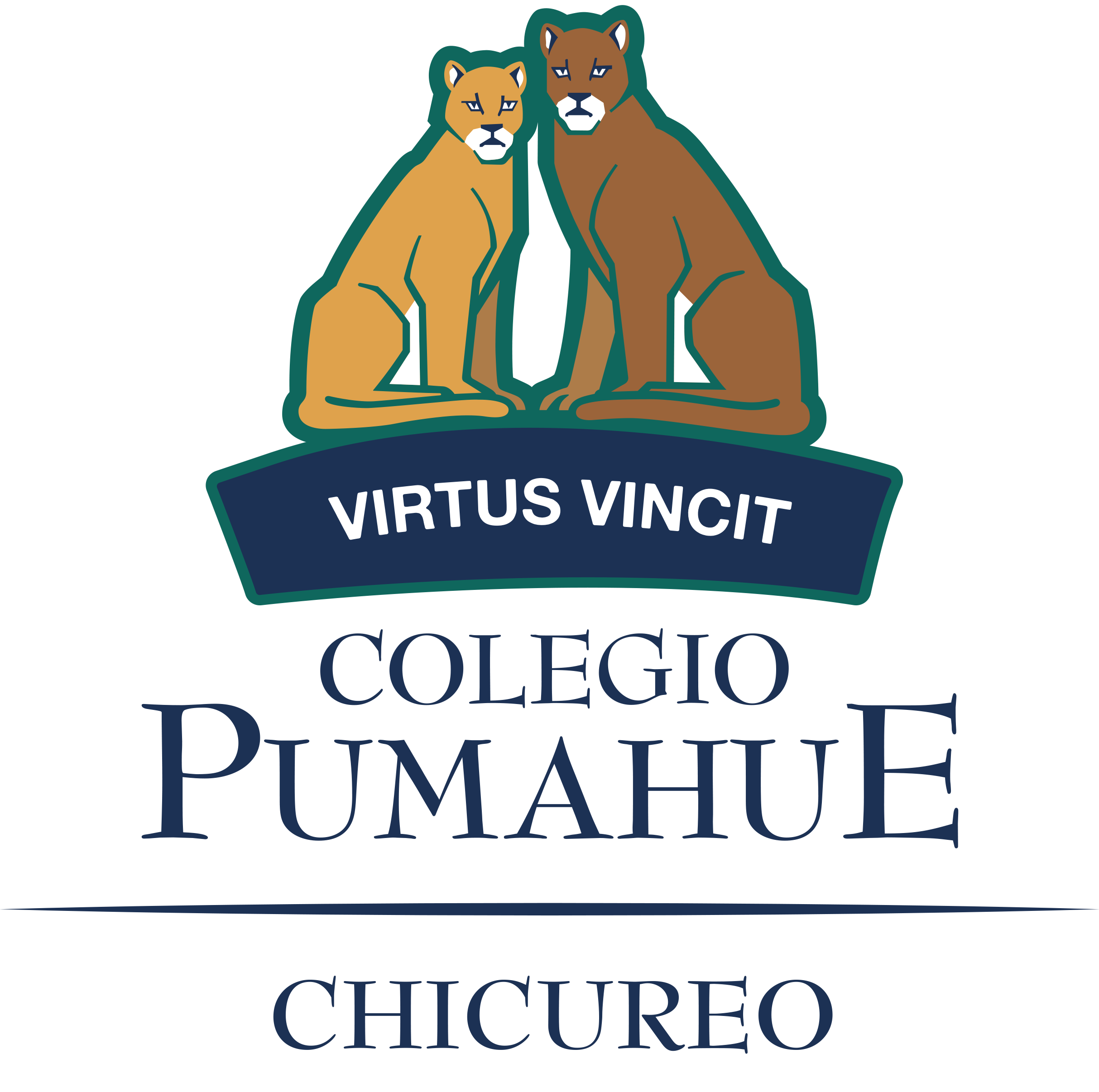 Colegio Pumahue Chicureo
