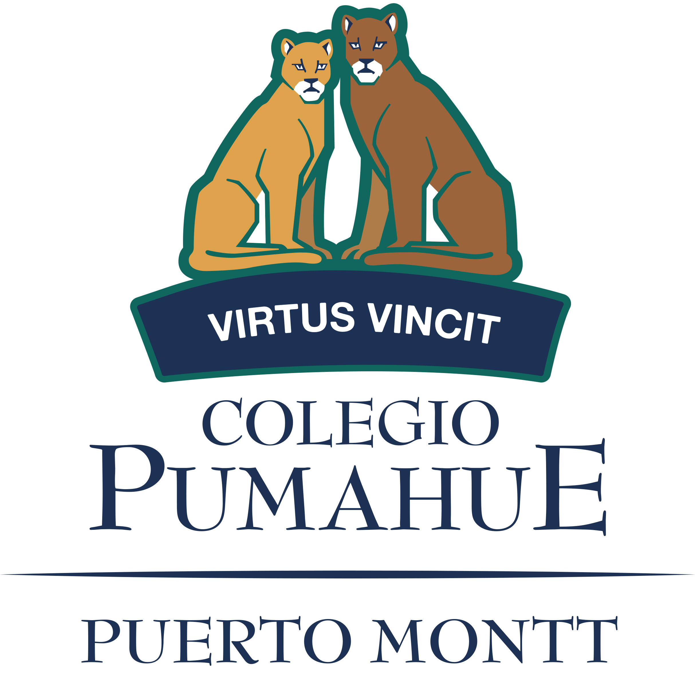 Colegio Pumahue Puerto Montt