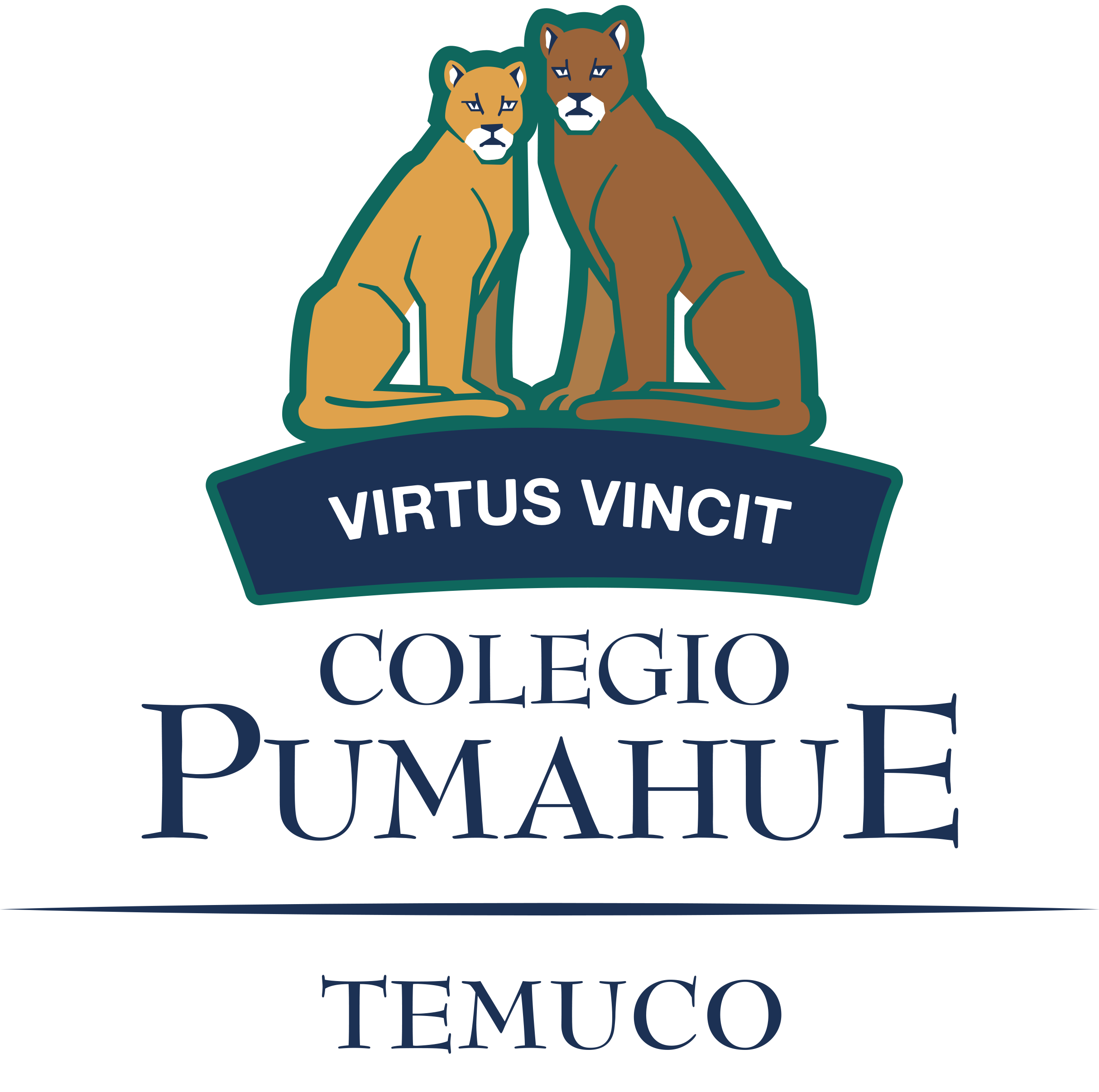 Colegio Pumahue Temuco